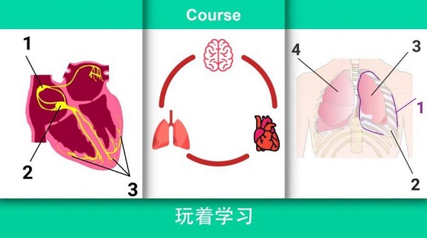 治病模拟器手游