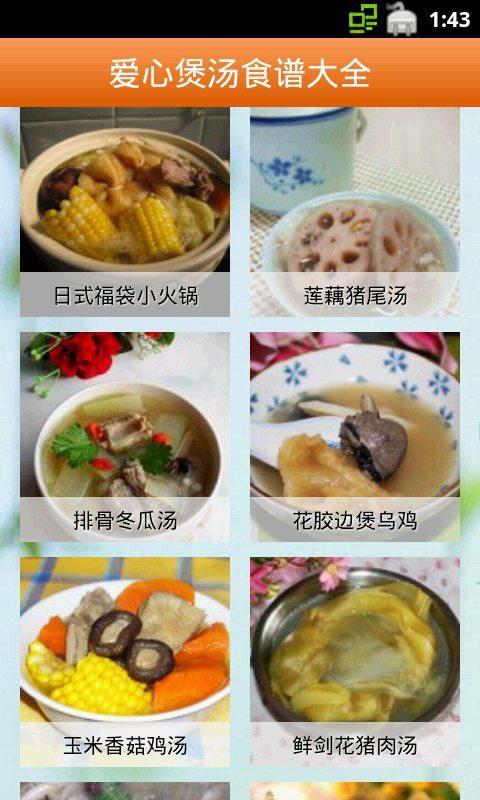 爱心煲汤食谱大全客户端