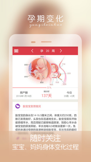 孕妇伴侣app