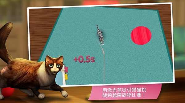 猫舍