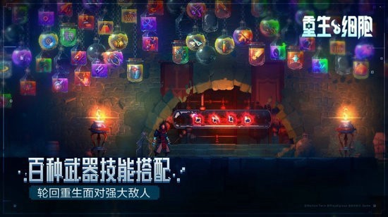 重生细胞国服版