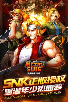 合金弹头集结