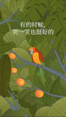 孤独的鸟儿app