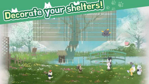 猫咪收容所游戏最新版
