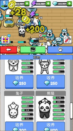 宠物豢养