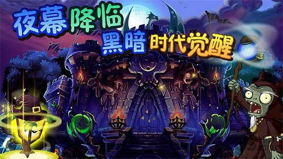 植物大战僵尸另一时空版