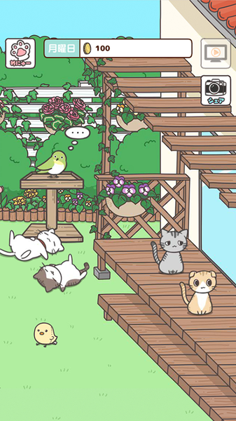 猫咪饲养日常无限金币中文版