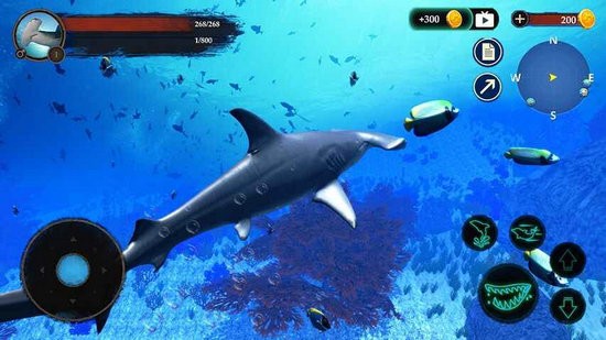 锤头鲨模拟器3d无限金币版