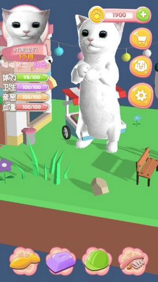 我家喵喵游戏
