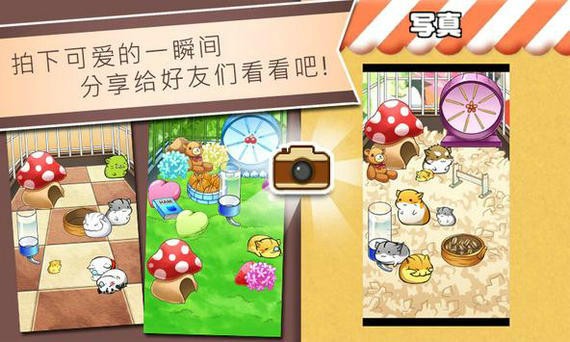 仓鼠的日常无限起司版