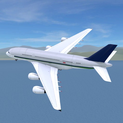 疯狂机场3d