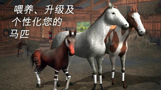 赛马
