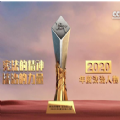 宪法的精神法治的力量观后感心得体会500字最新