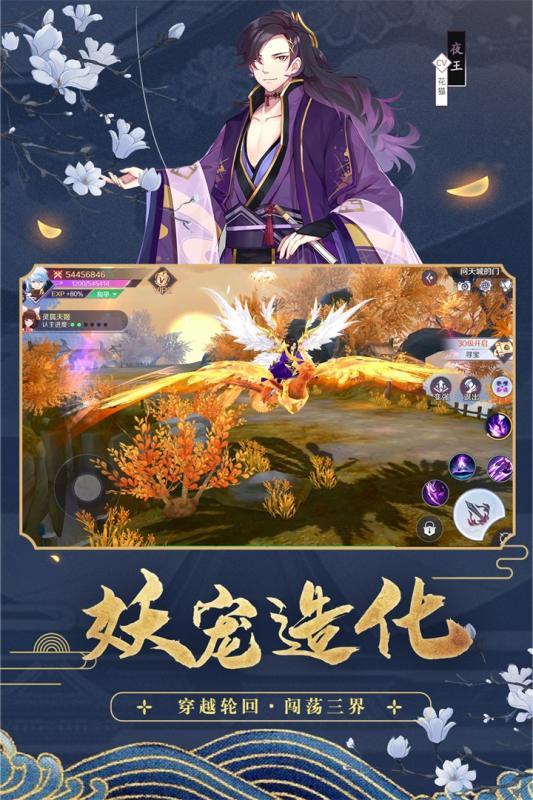 梦幻之灵变态版