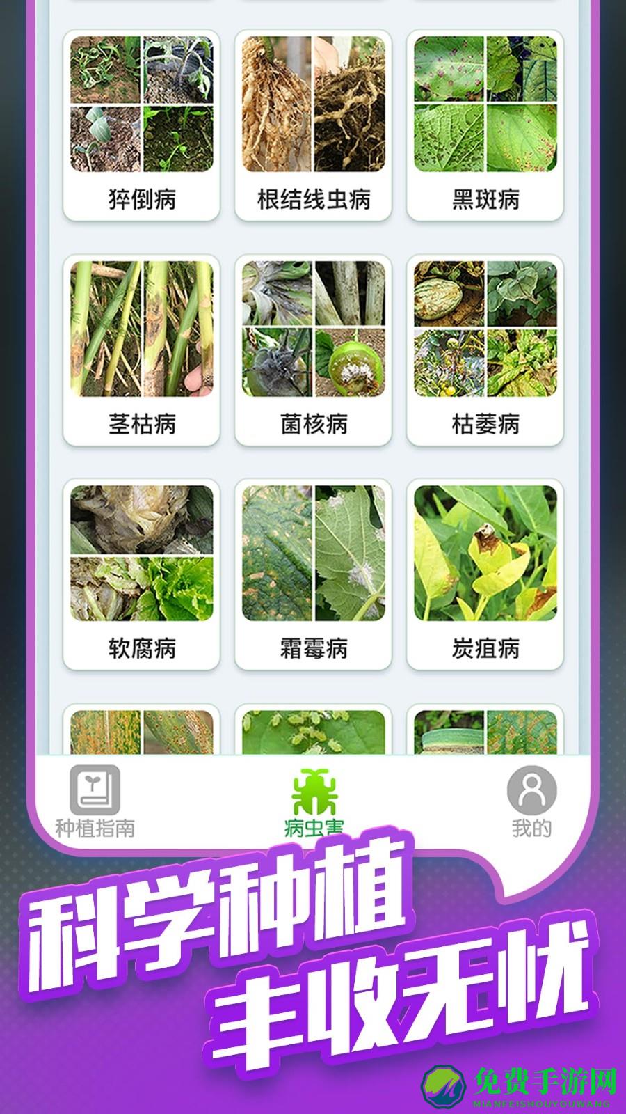 种菜专业户