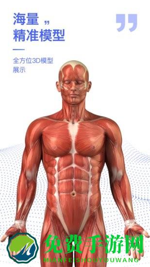 2024人体解剖学图谱