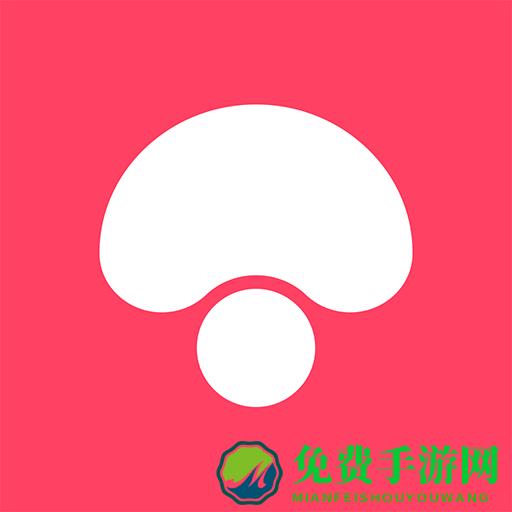 蘑菇街女装最新搭配