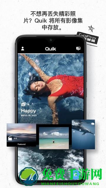 goproquik中文版