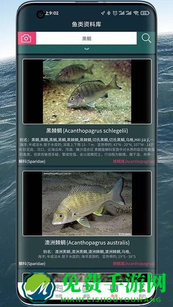 潮汐表精灵