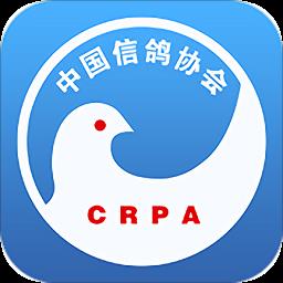 中国信鸽协会官方版