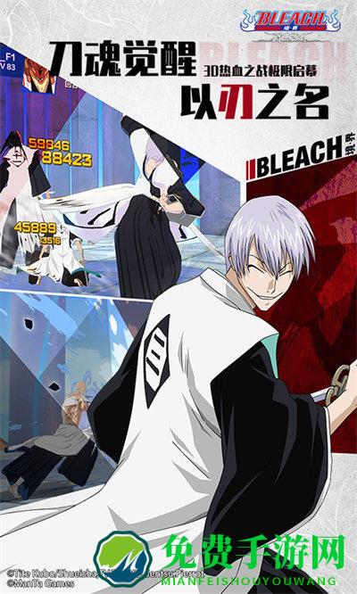 bleach境界斩魂之刃官方版