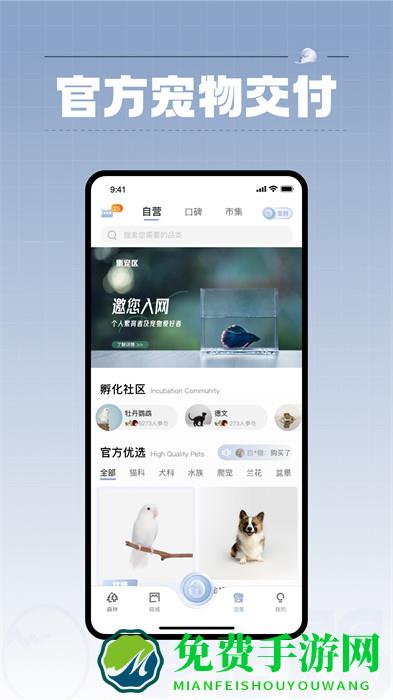 集宠区app测试版