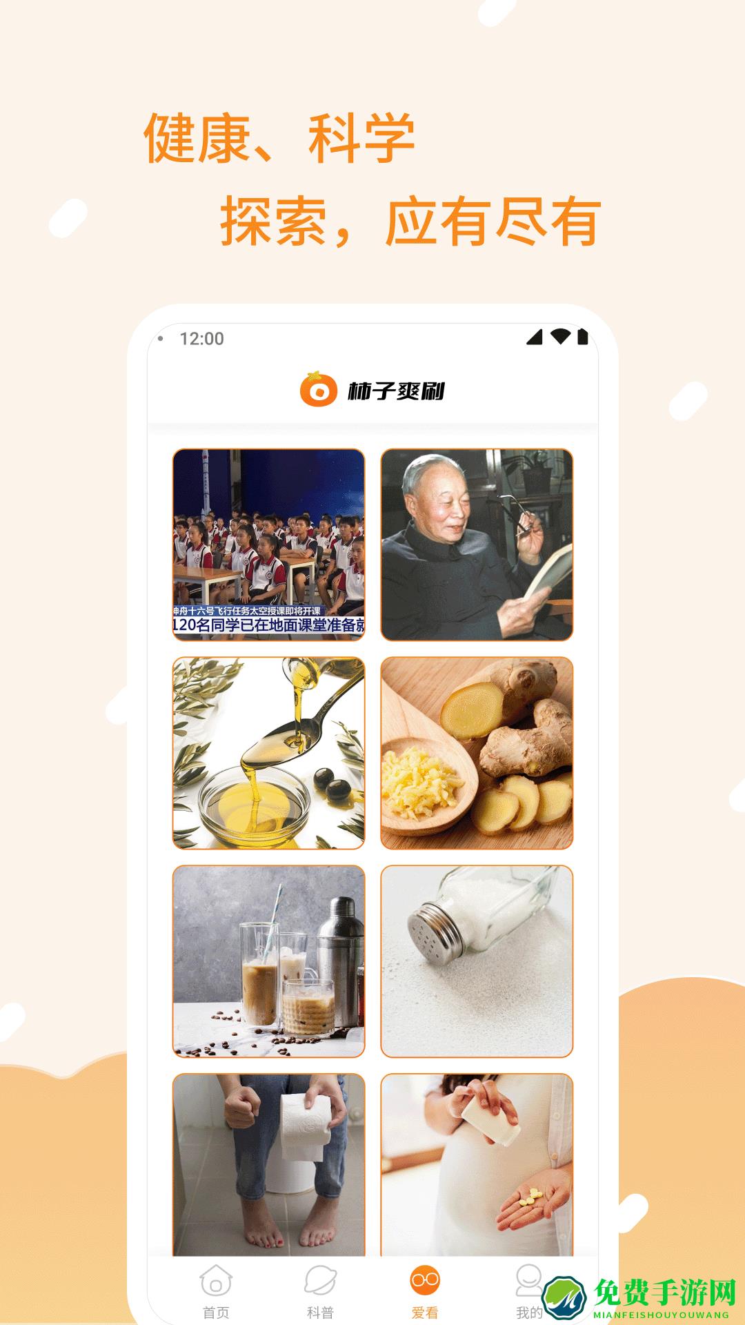 柿子爽刷