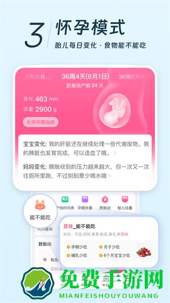 美柚安卓版
