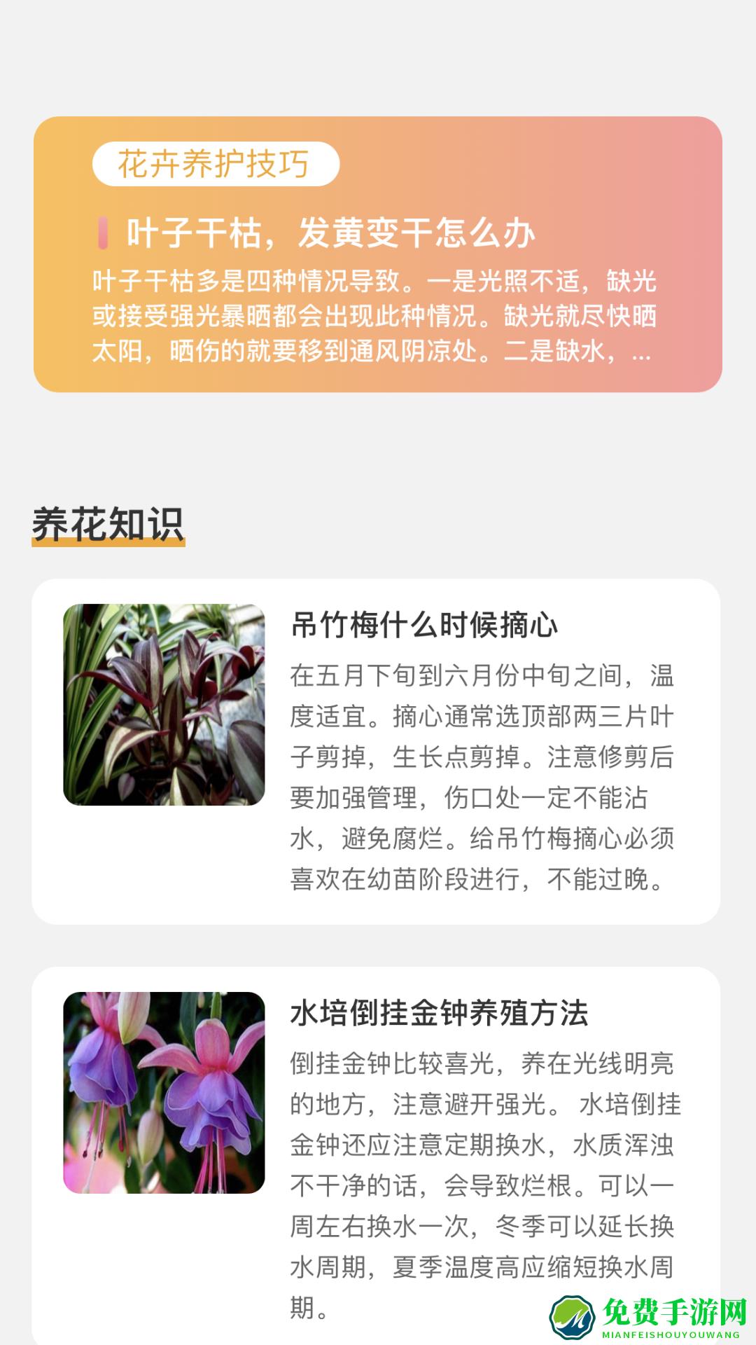 百花悦看