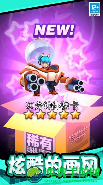 极限大乱斗游戏下载