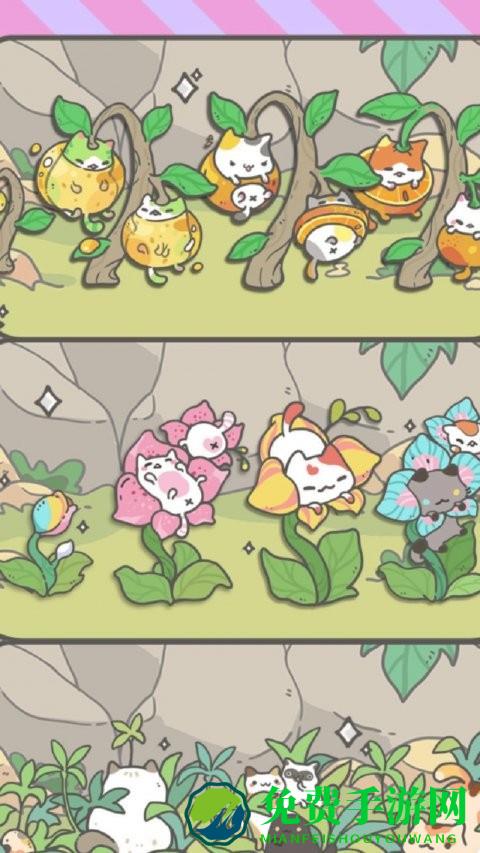 养猫达人游戏