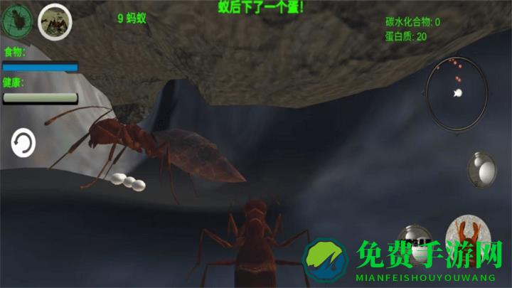 奇妙动物世界探险游戏