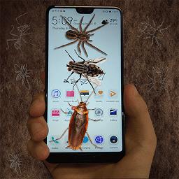 虫子整蛊模拟器小游戏