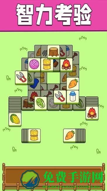 脑力竞速大会游戏