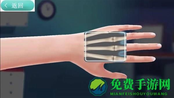 X射线扫描模拟器游戏