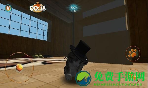 真实小猫3d模拟游戏