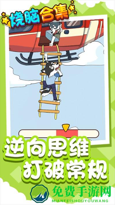 烧脑合集游戏