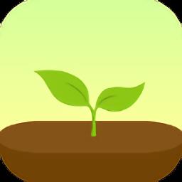 forest专注森林
