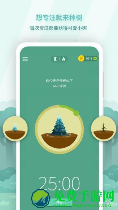 forest专注森林
