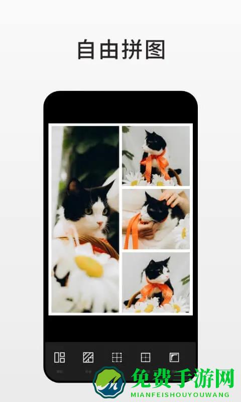 fotor pro app