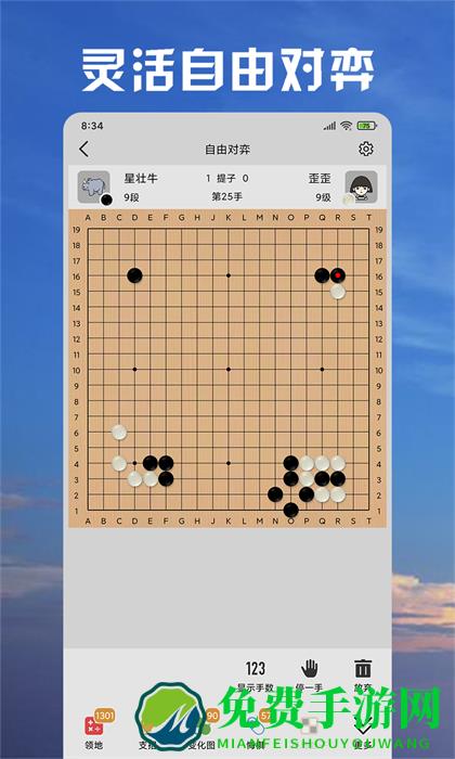 星阵围棋专业版(golaxy)