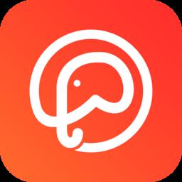 大象拍车apk