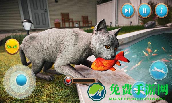 迷你小猫城市生存中文版