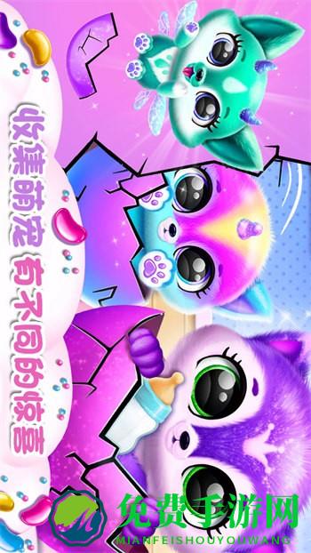 迷你小狗探险
