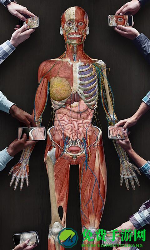 人体解剖3d教学软件