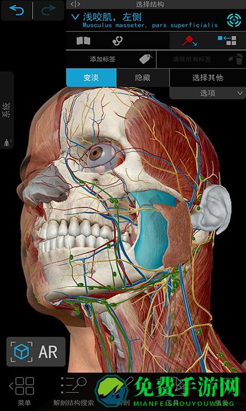 人体解剖3d教学软件