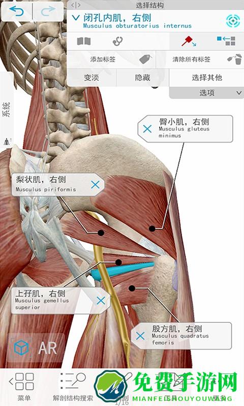 人体解剖3d教学软件