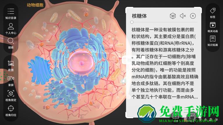 细胞生物学3d资源库系统最新版下载