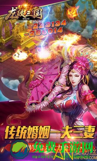 龙纹三国华为版