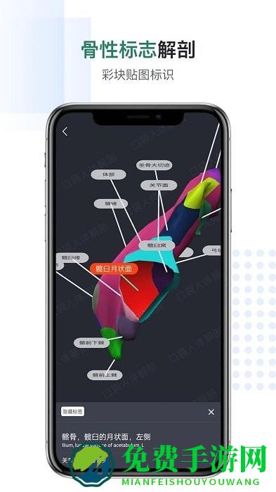 口袋人体解剖app